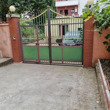 Friendly Dogs House Apartment