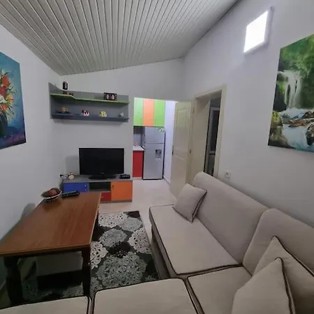 Friendly Dogs House Tirana