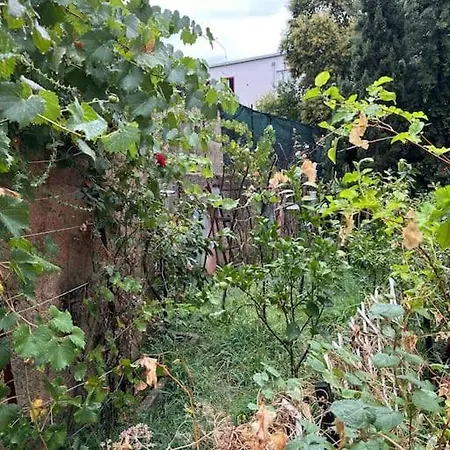 Friendly Dogs House Apartment Tirana