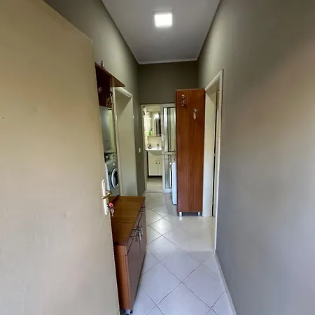 Apartment Friendly Dogs House