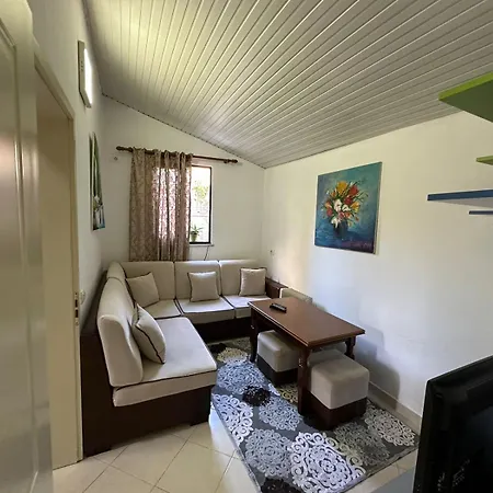 Apartment Friendly Dogs House